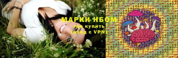 кокс Арсеньев