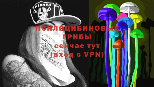 дмт Аркадак