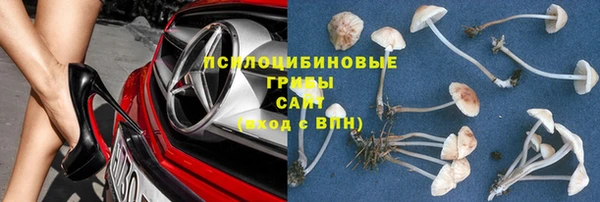 дмт Аркадак