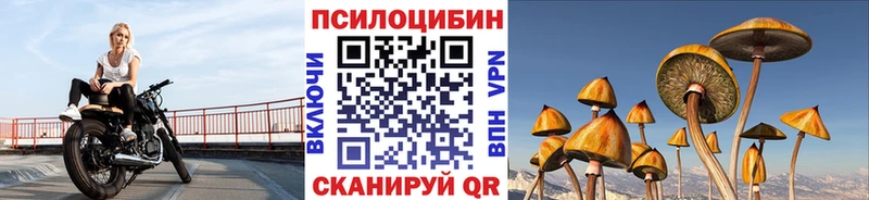Псилоцибиновые грибы Psilocybine cubensis  где найти   Макаров 